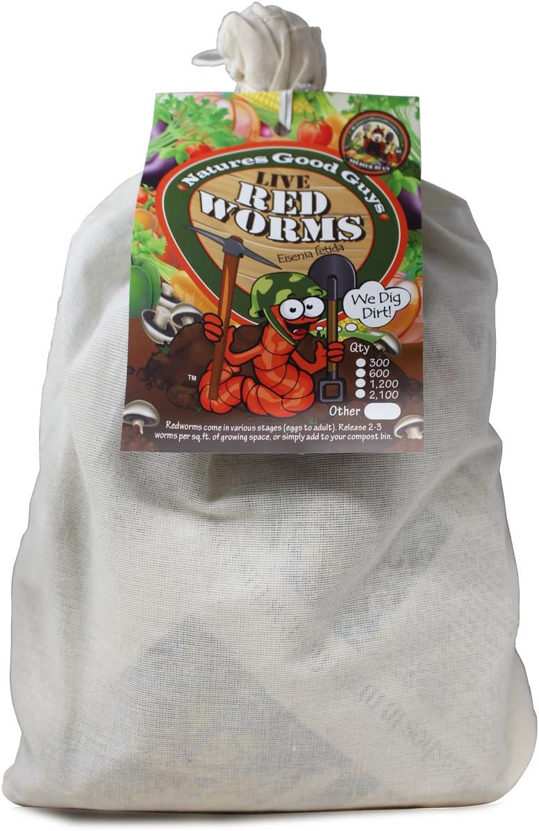 600 Red Wigglers Composting Red Worms F534824