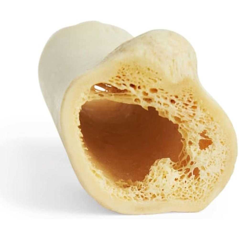 Hollow Bone for Dogs F65437