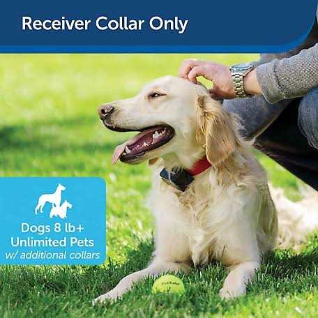 Stubborn Dog Receiver Collar K243932