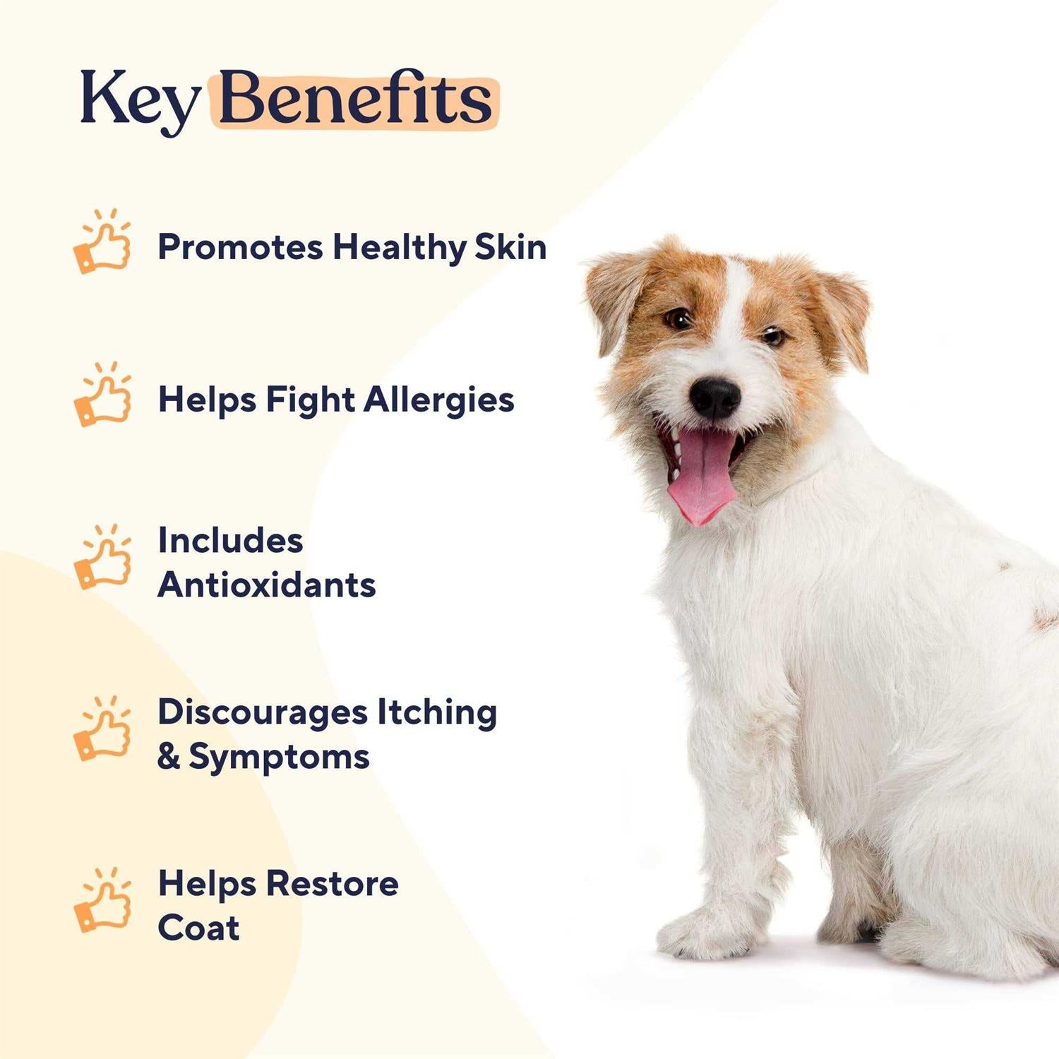 Skin & Coat Soft Chews F8689