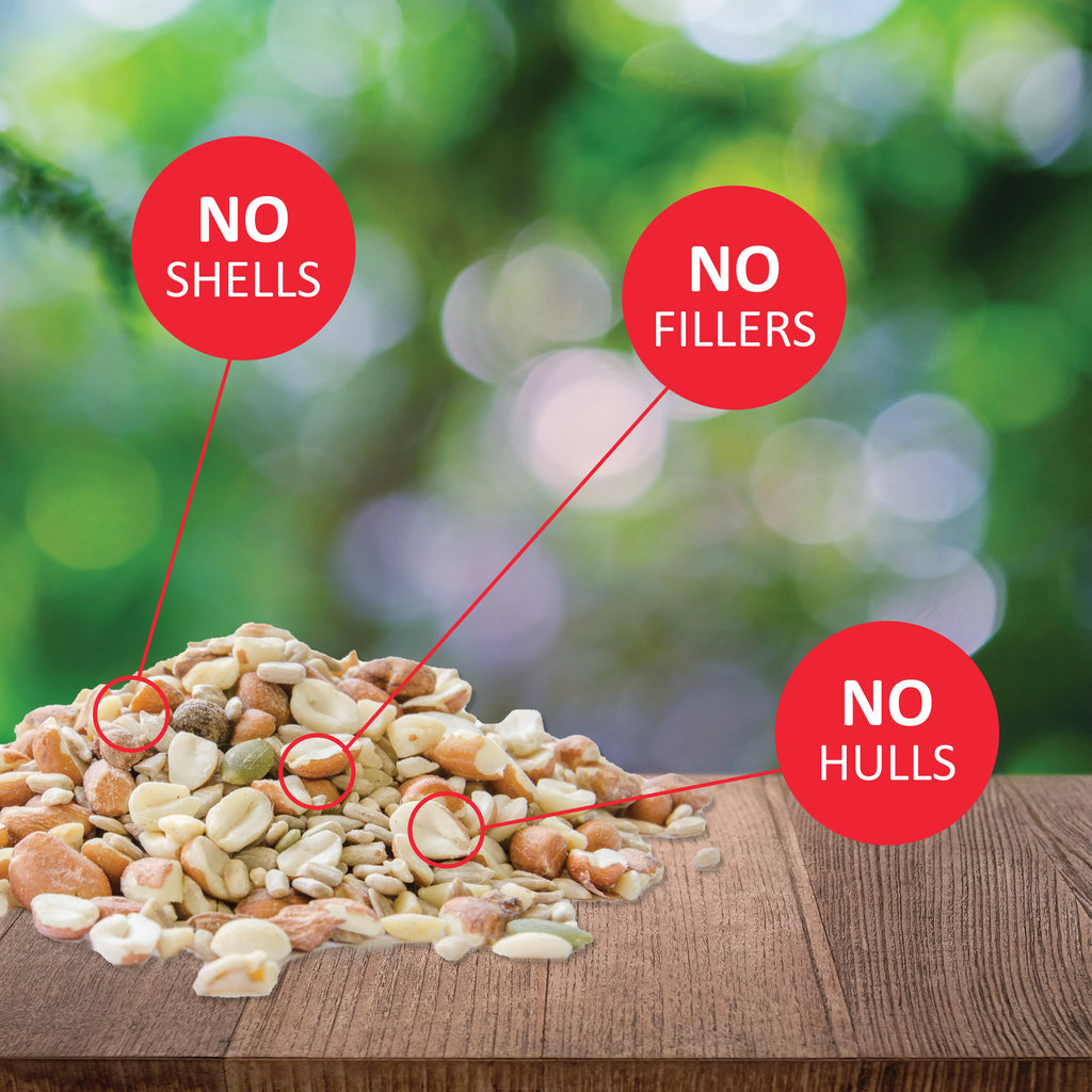 20 lb. No Waste Bird Seed with Shell-Free Nuts & Seeds U8326