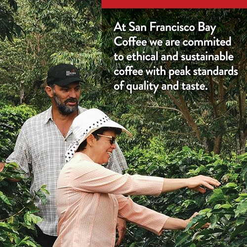 80 Ct Compostable Coffee Pods Original Variety Pack F555