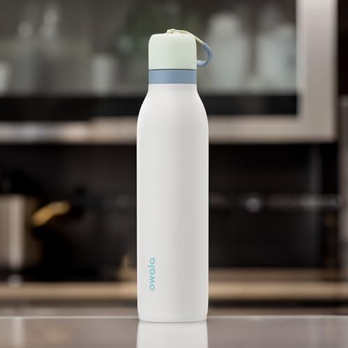 24-oz Insulated Stainless Steel Water Bottle N975
