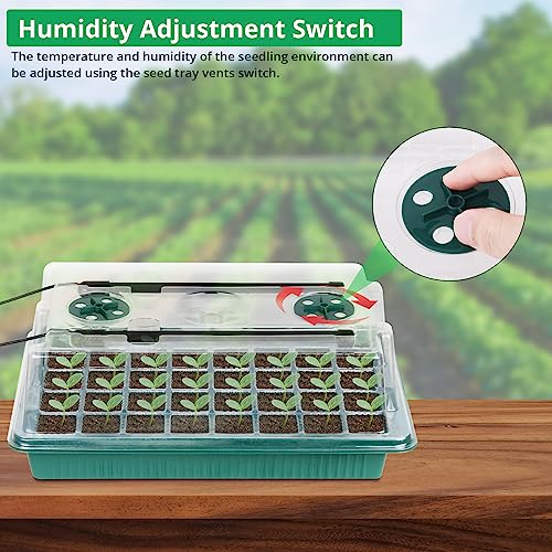 2 Pack 80 Cells Seed Starter Tray with Grow Light and Humidity Dome Y731
