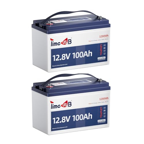 12V 100Ah LiFePO4 Marine Battery with Low-Temp Protection, 100A BMS L8049