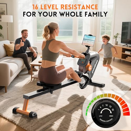 Magnetic Rower with LCD Monitor D139