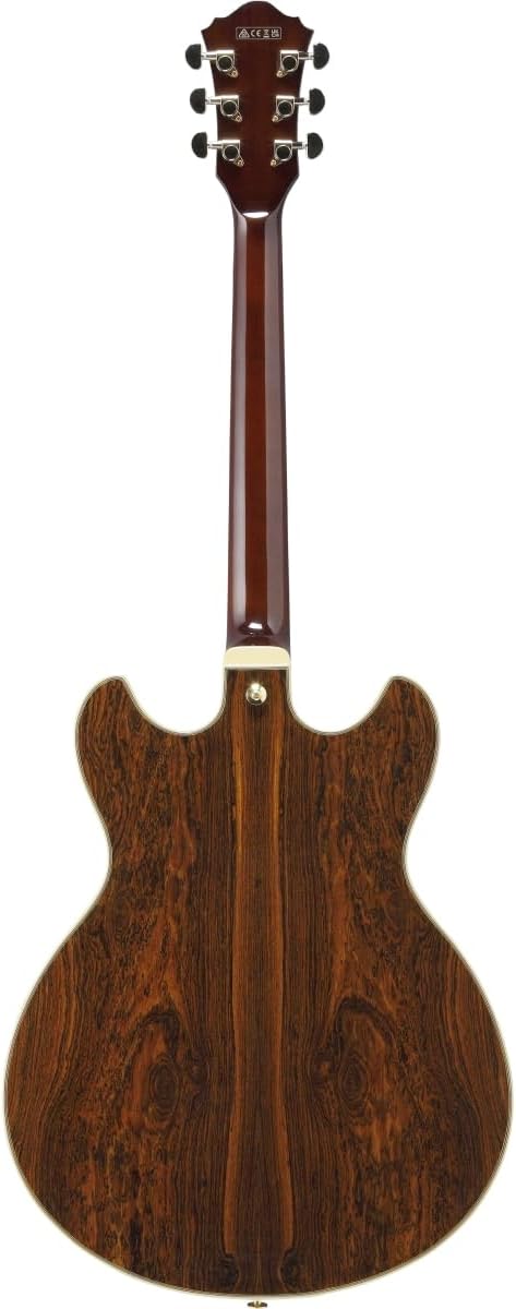 Black Semi-hollowbody Electric Guitar E4390