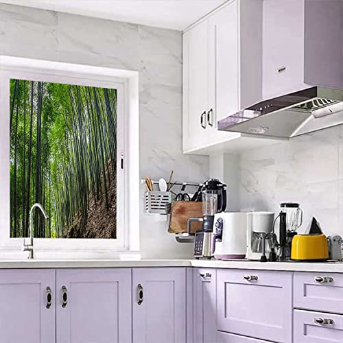 17.7" by 39" Bamboo Green Window Film Z9527