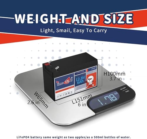 12V 100Ah LiFePO4 Marine Battery with Low-Temp Protection, 100A BMS L8049