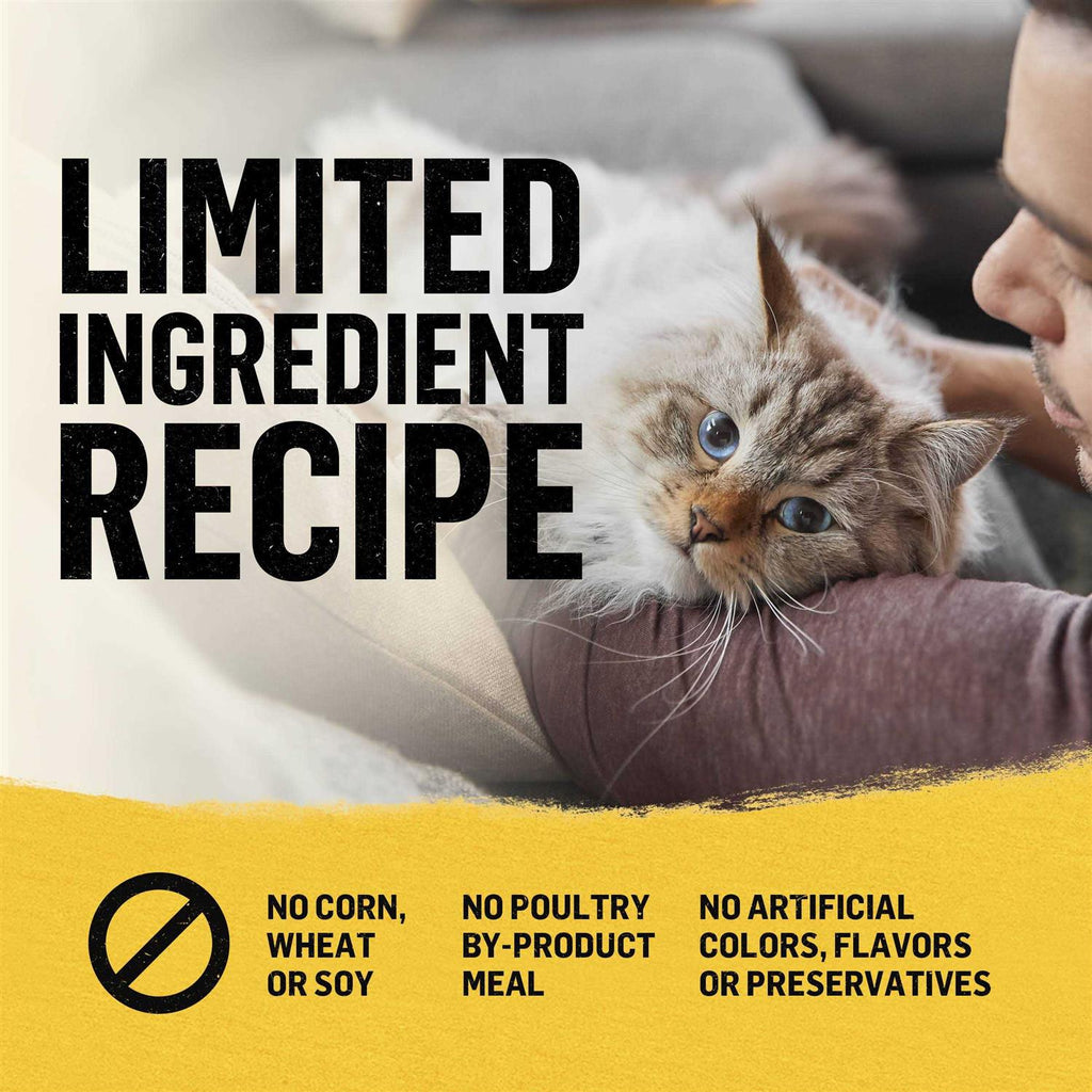 Cat Dry Food S45682