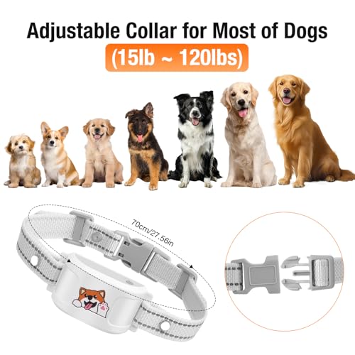 Wireless Dog Fence & Training Collar, White R455187