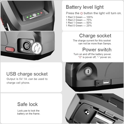 48V 10Ah/13Ah Lithium Ion Ebike Battery with Charger S271