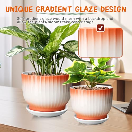 Blue White Ceramic Plant Pots Set of 2 W61747