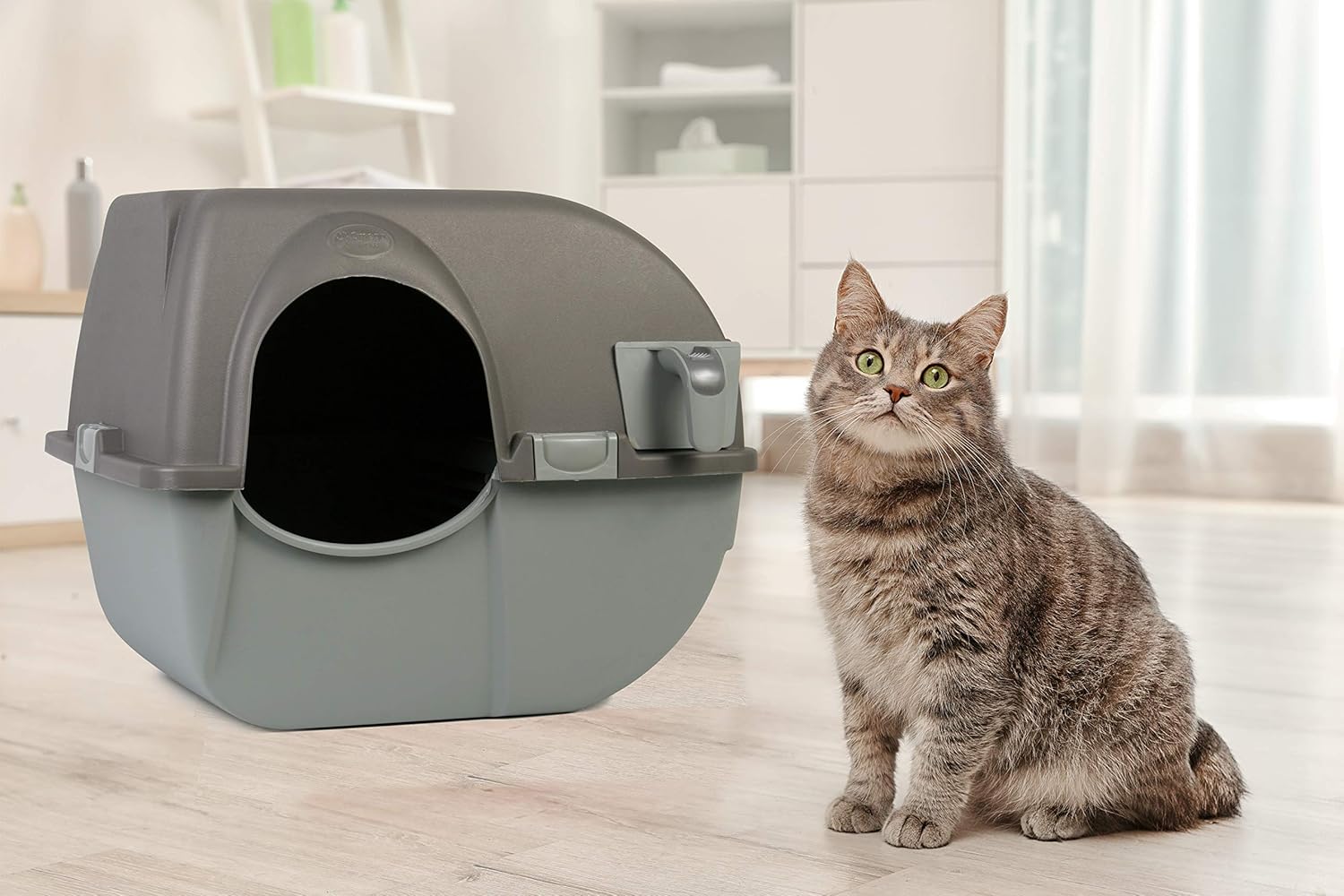 Large Self Cleaning Litter Box S876189