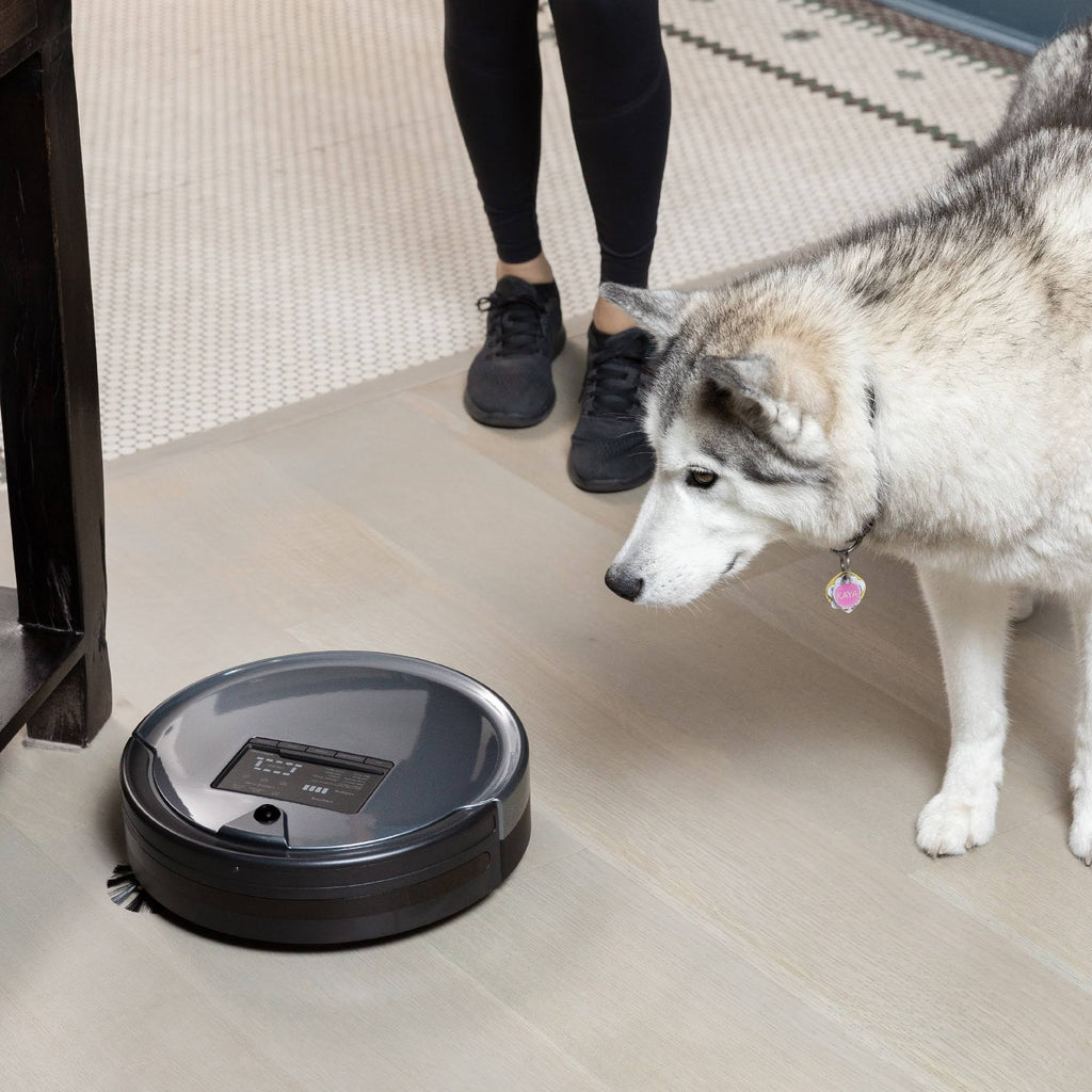 Charcoal Wet/Dry Robotic Vacuum J561628