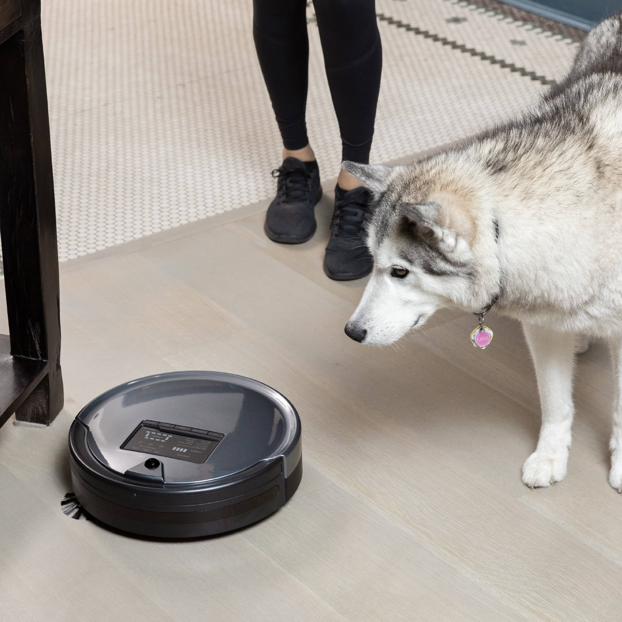 Charcoal Wet/Dry Robotic Vacuum J561628