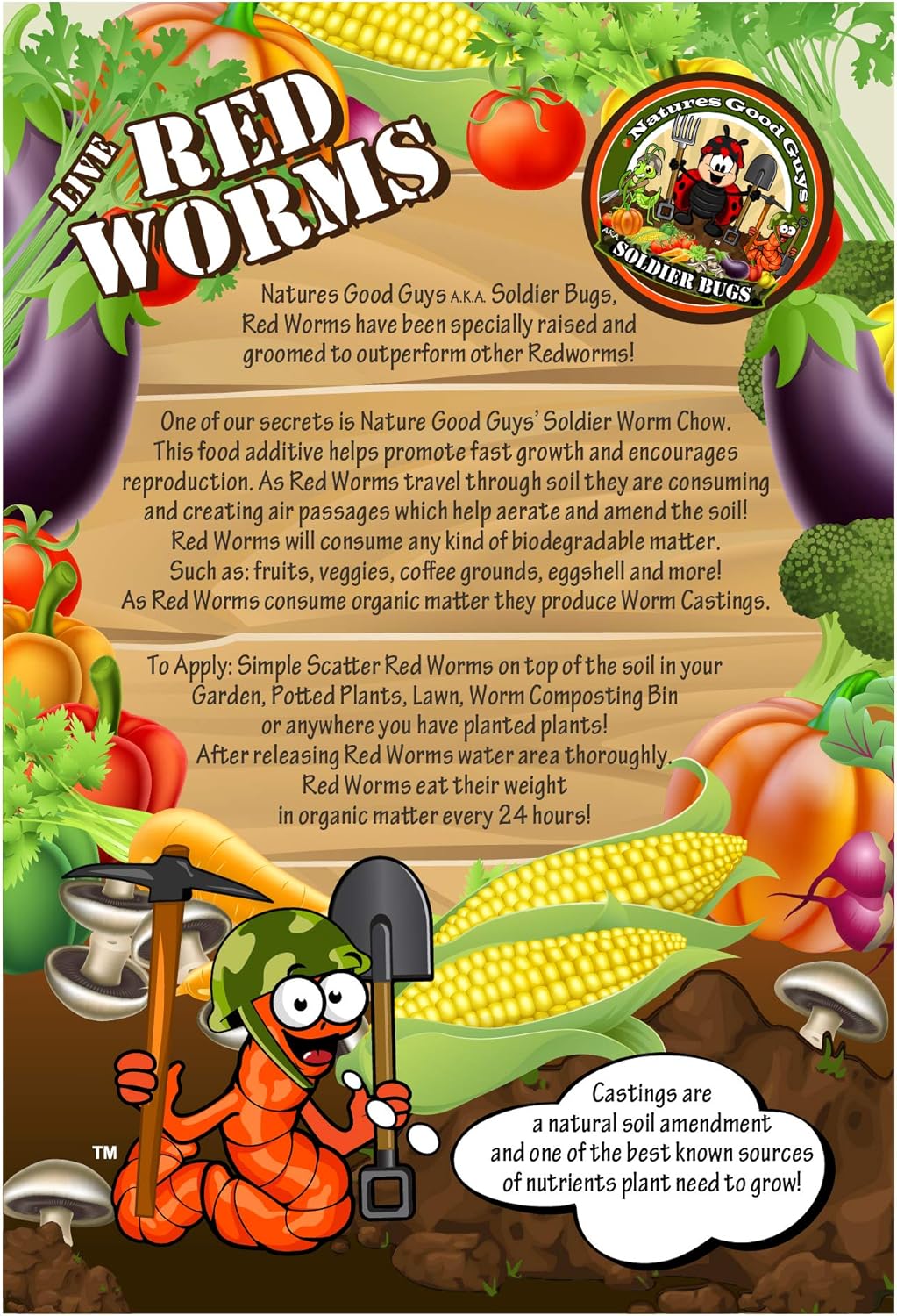 600 Red Wigglers Composting Red Worms F534824