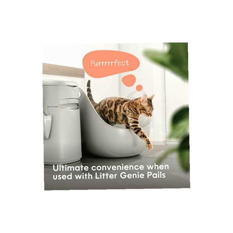 Cat Litter Box B502323