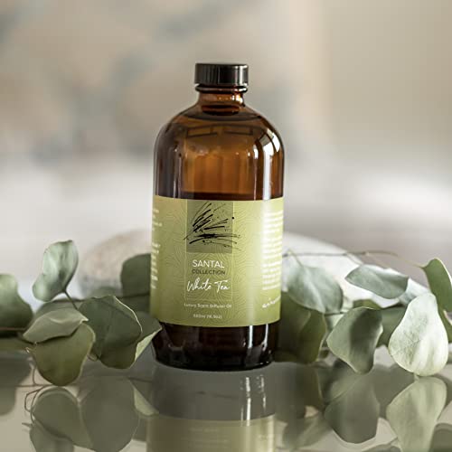 White Tea Diffuser Oil - 500 mL Fragrance Oil Bottle W450052