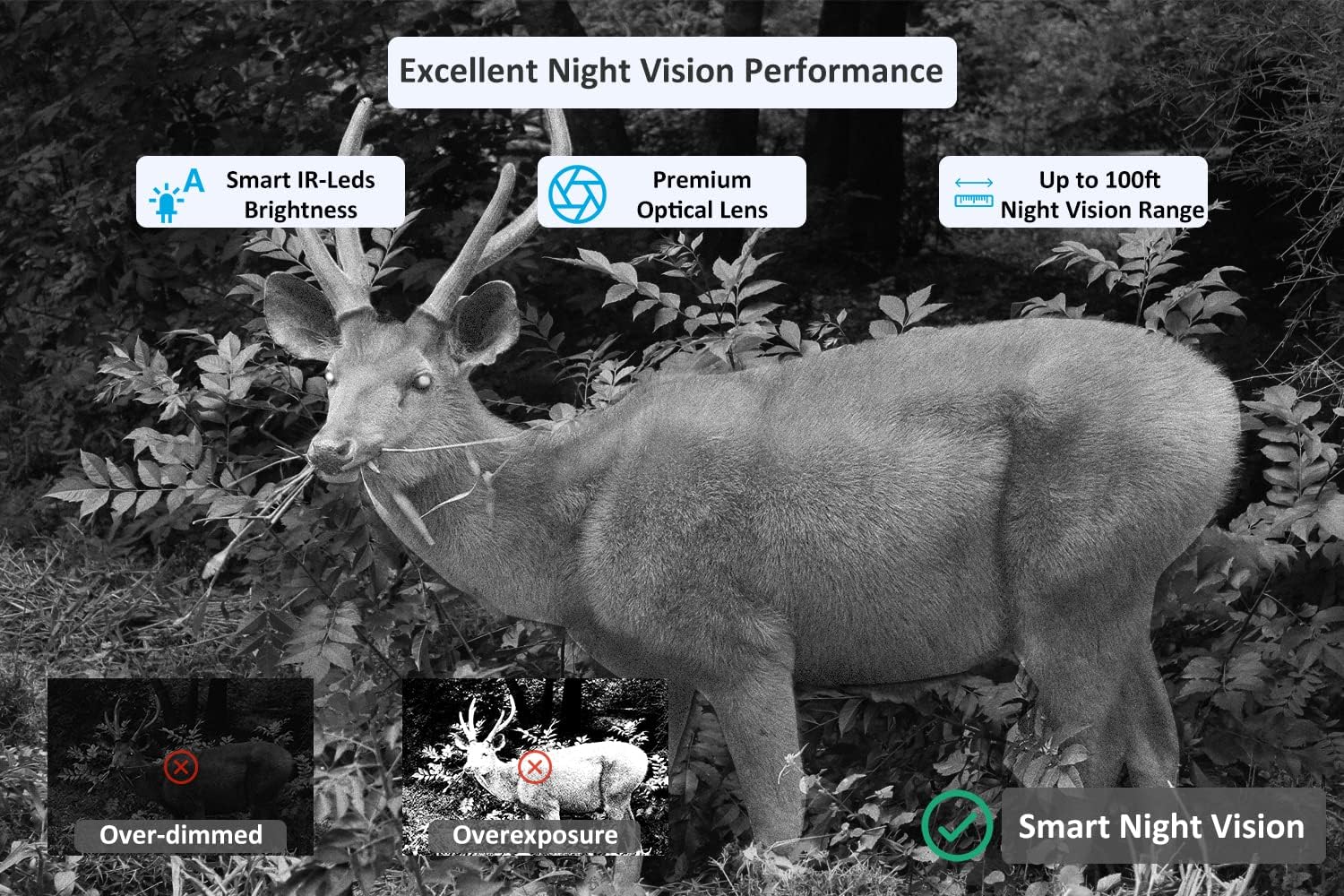 32mp 1296p Trail Camera with 100ft Night Vision Motion Activated Waterproof J4802