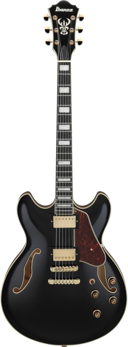 Black Semi-hollowbody Electric Guitar E4390