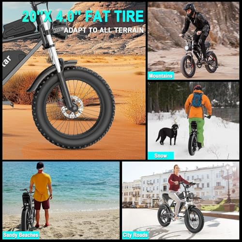 52V 40AH 20" Fat Tire Electric Bike F492
