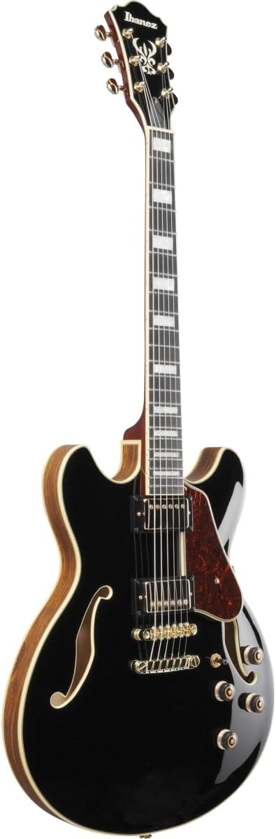 Black Semi-hollowbody Electric Guitar E4390