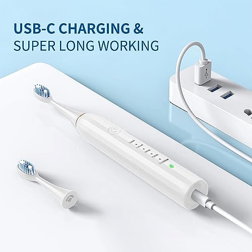 Rechargeable Electric Toothbrush with 4 Heads 5 Modes Black U220