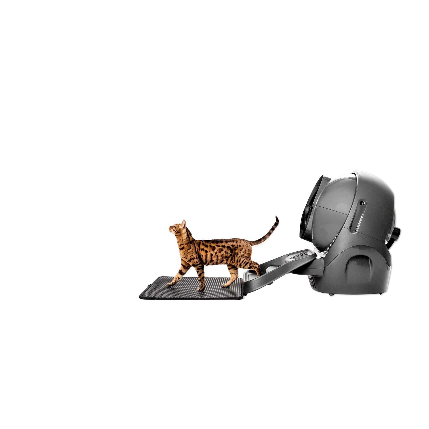 Cat Mat J436