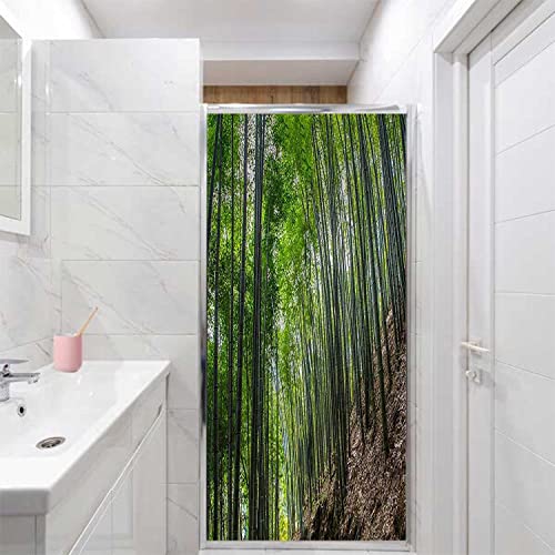 17.7" by 39" Bamboo Green Window Film Z9527