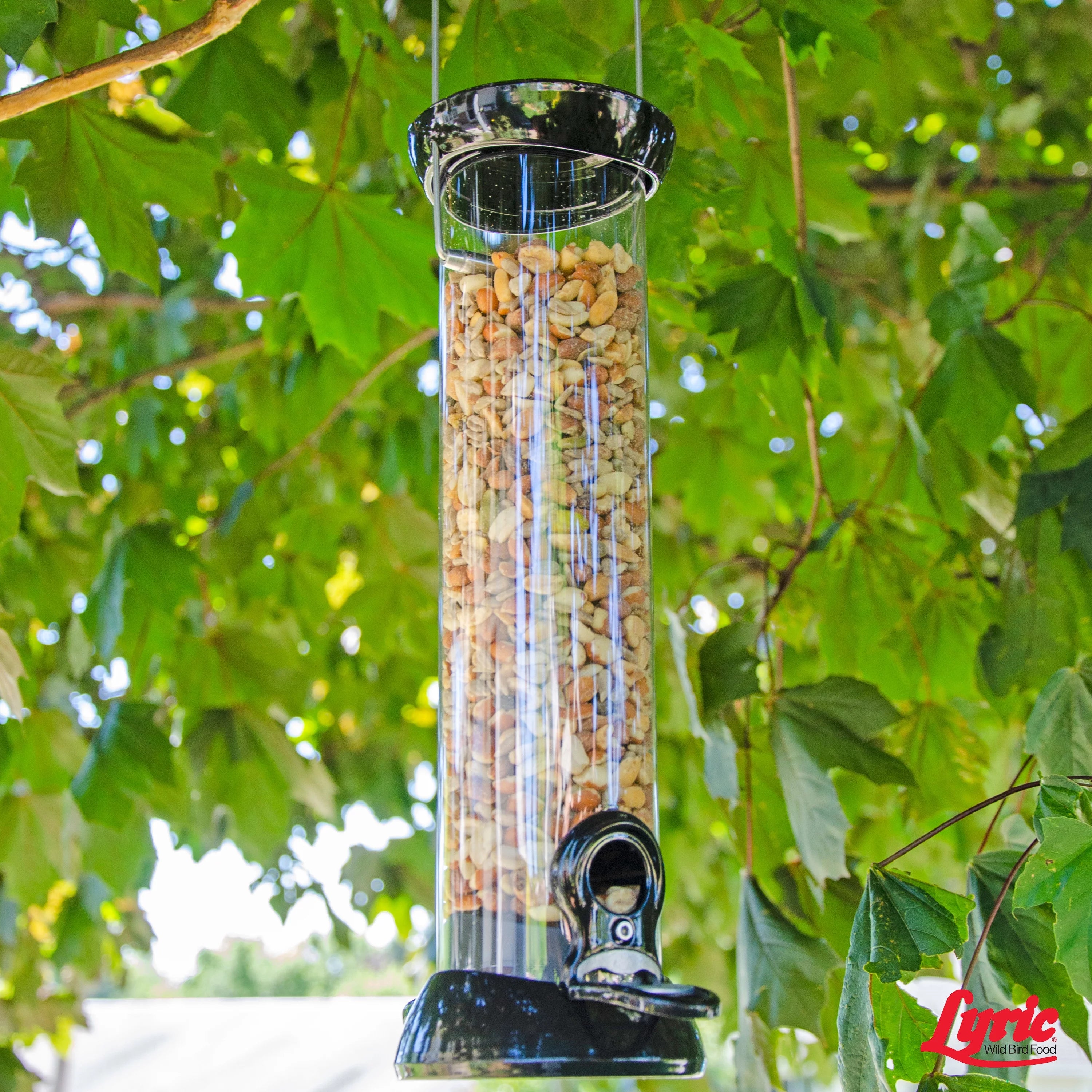 20 lb. No Waste Bird Seed with Shell-Free Nuts & Seeds U8326