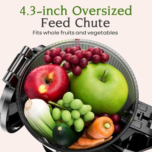 Cold Press Juicer, 200W Masticating Juicer with 2 Auger, Tritan Materials V39813