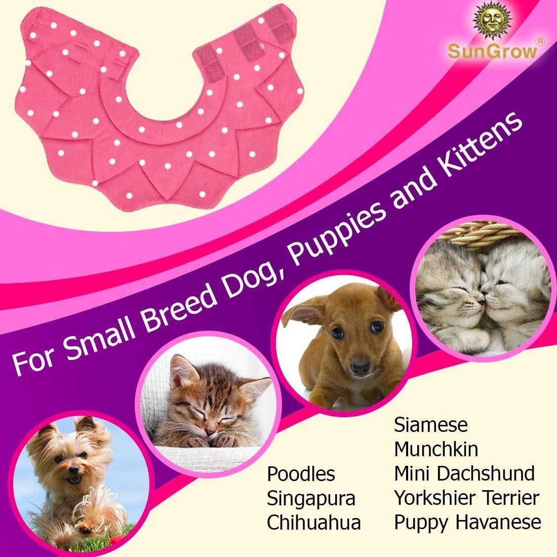 Soft e Collar for Small Dogs & Cats U534