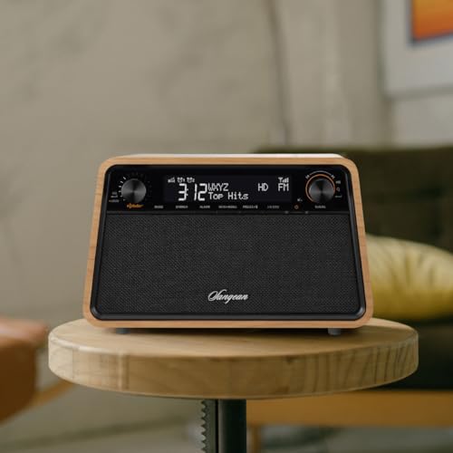 HD Radio AM FM RDS Bluetooth AUX Wooden Cabinet Radio W41462