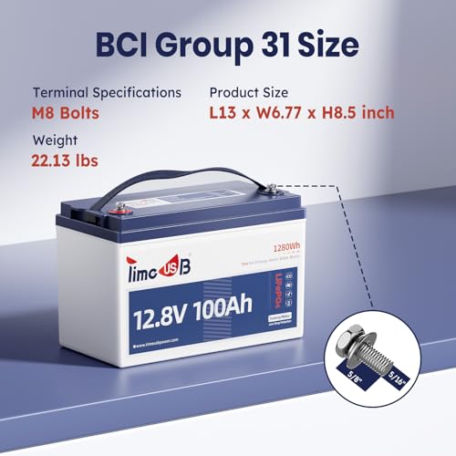12V 100Ah LiFePO4 Marine Battery with Low-Temp Protection, 100A BMS L8049