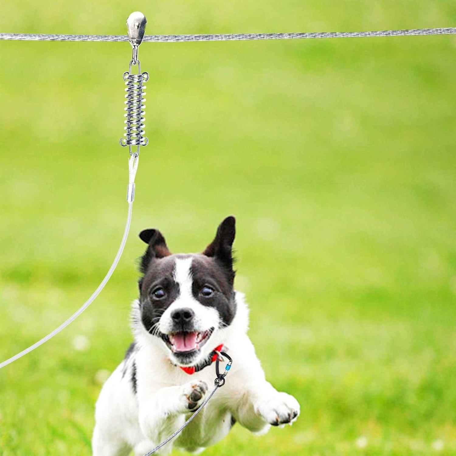 Dog Tie Out Runner with 10ft Pulley Runner Line Y20947