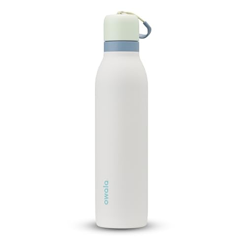 24-oz Insulated Stainless Steel Water Bottle N975