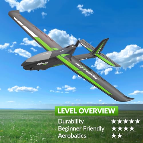 RC Plane, 4-Channel, Durable Foam Construction, 23.6*18.1 inches B7337