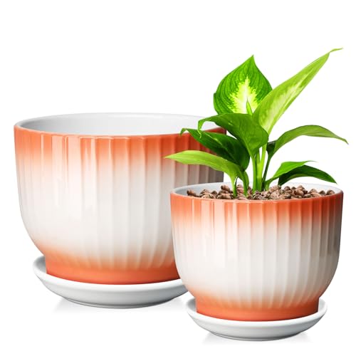 Blue White Ceramic Plant Pots Set of 2 W61747