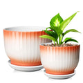 Blue White Ceramic Plant Pots Set of 2 W61747