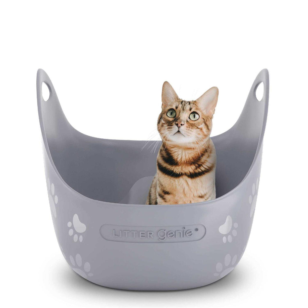 Cat Litter Box B502323