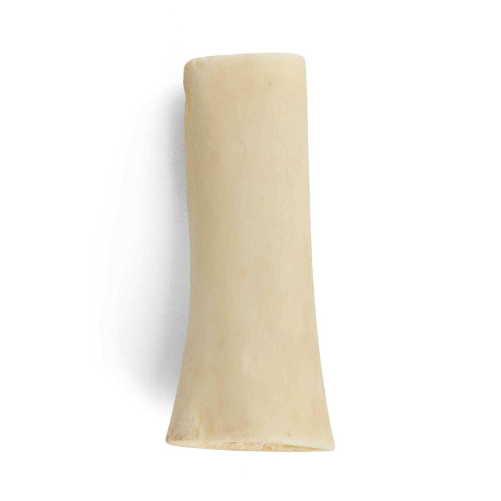 Hollow Bone for Dogs F65437
