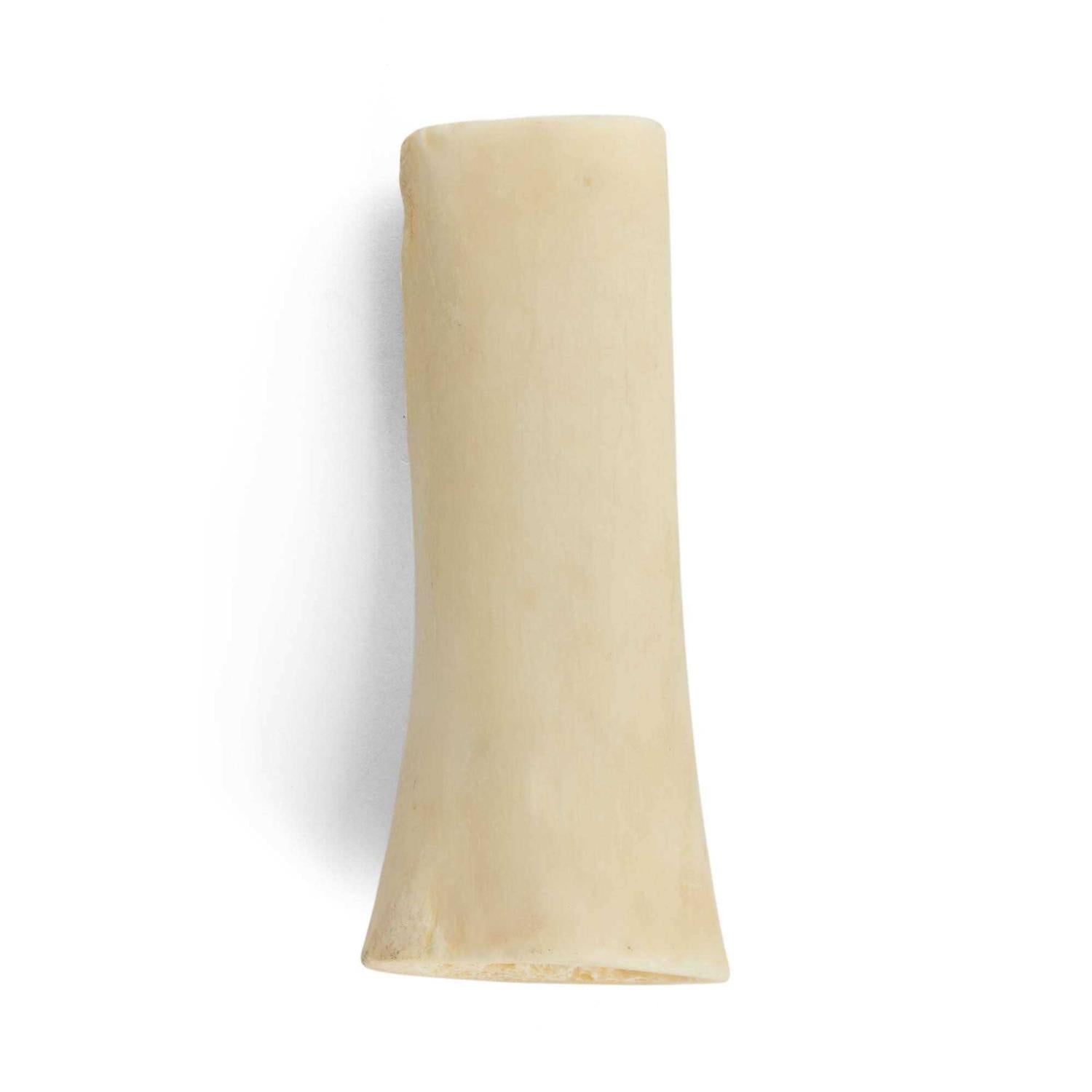 Hollow Bone for Dogs F65437