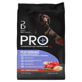 Beef & Brown Rice Recipe Dry Dog Food N806
