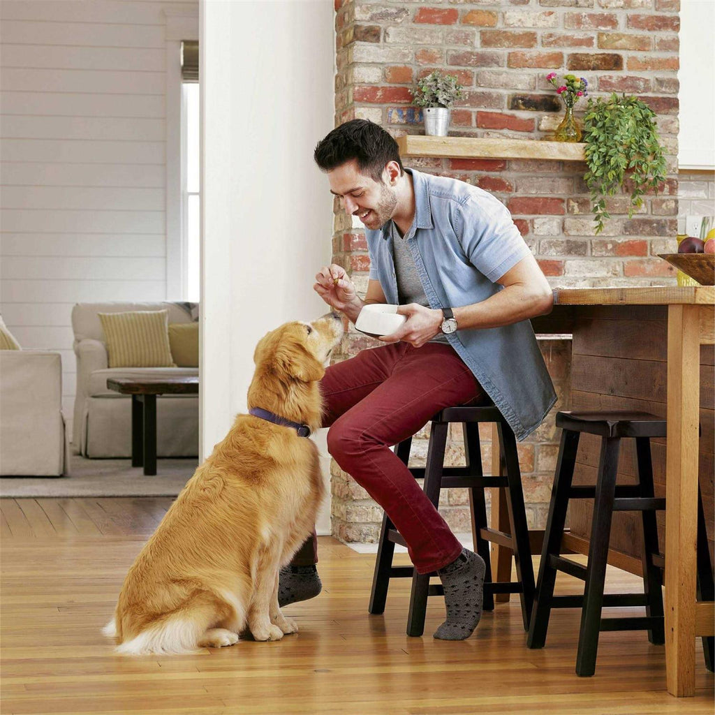 Advanced Health Adult Dry Dog Food with Real Chicken A784501