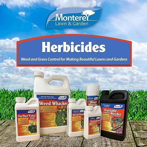 One Pint Spurge Power Herbicide Z337