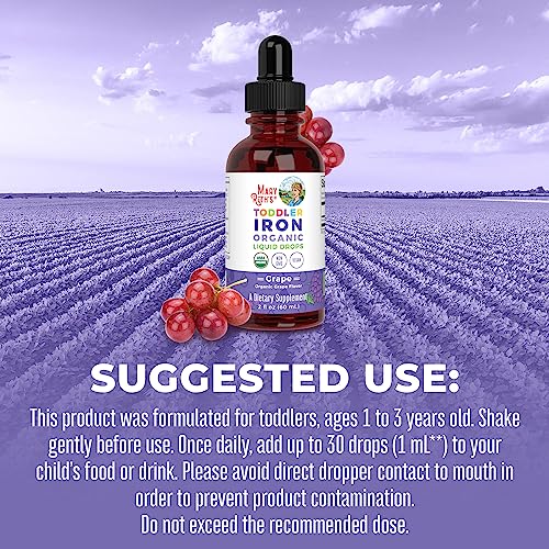 Liquid Iron Supplement for Children Ages 1-3, 2 Fl Oz Q232260