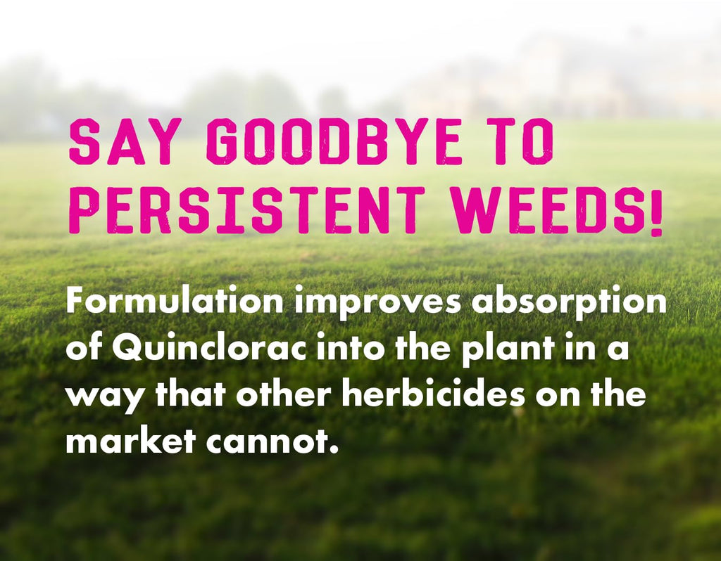 64 ounces Concentrated Crabgrass Herbicide B934