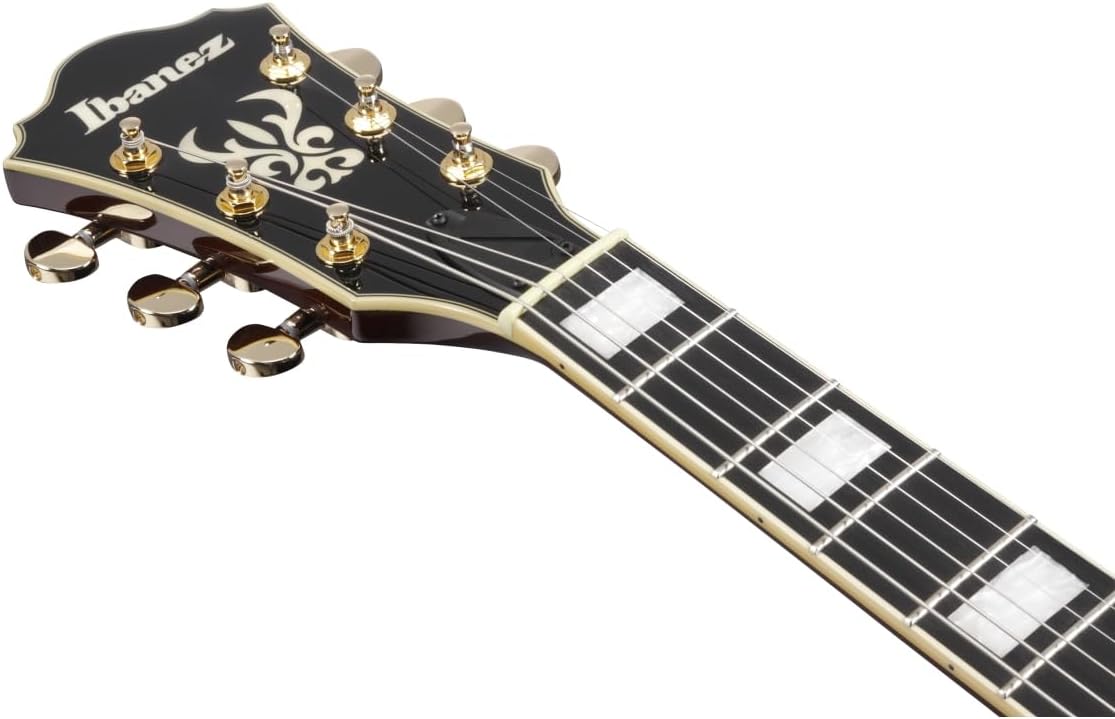 Black Semi-hollowbody Electric Guitar E4390