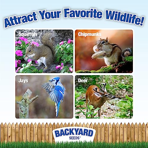 8 lb Squirrel & Chipmunk Food Mix with Sunflower Seeds, Peanuts & Corn G59866